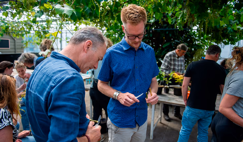 Group of people gathered outdoors around tables, examining small plant cuttings under leafy green vines.