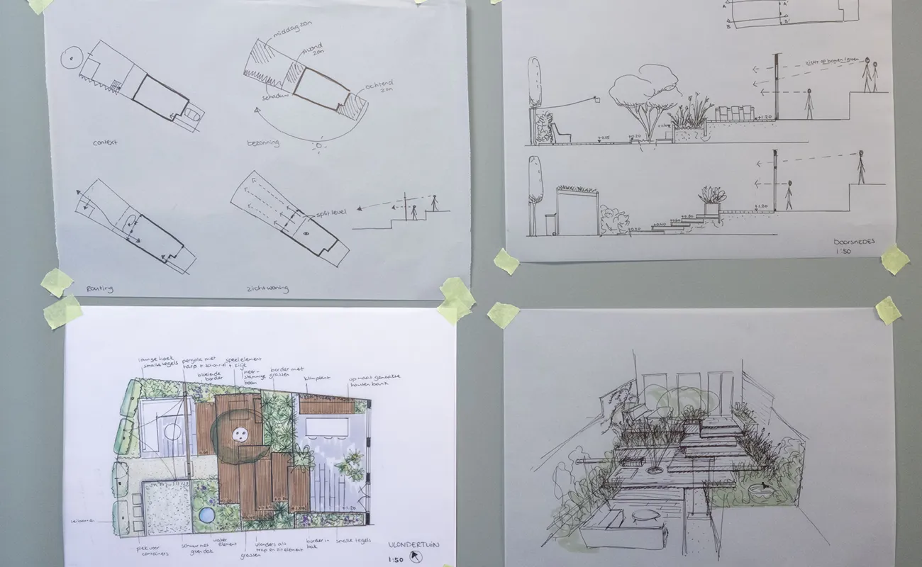 Four architectural sketches taped to a wall showing floor plans, cross-sections, a colored garden layout, and a perspective drawing of a garden space.
