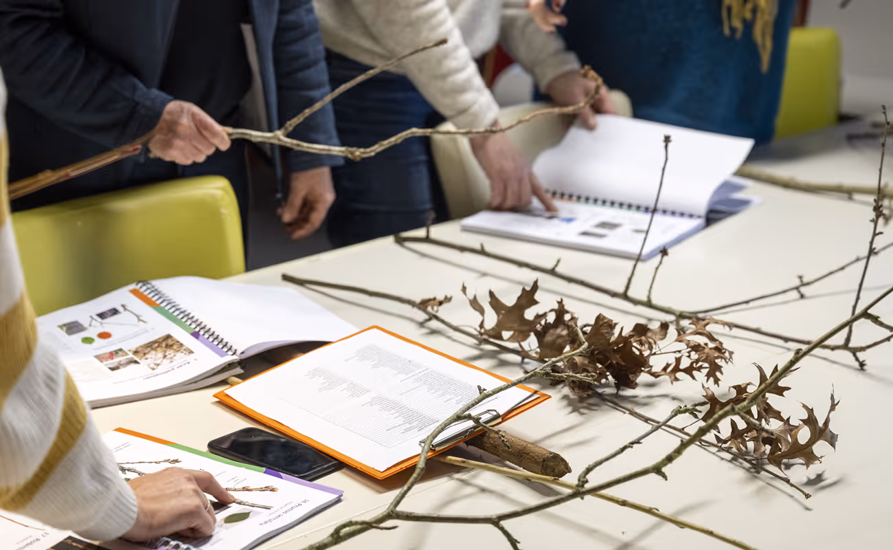 People examining tree branches and leaves on a table with open botanical guidebooks and a smartphone.