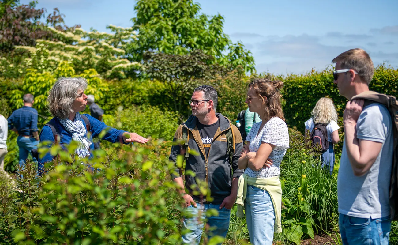 Four adults standing and talking outdoors in a lush garden with green plants and trees under a blue sky.