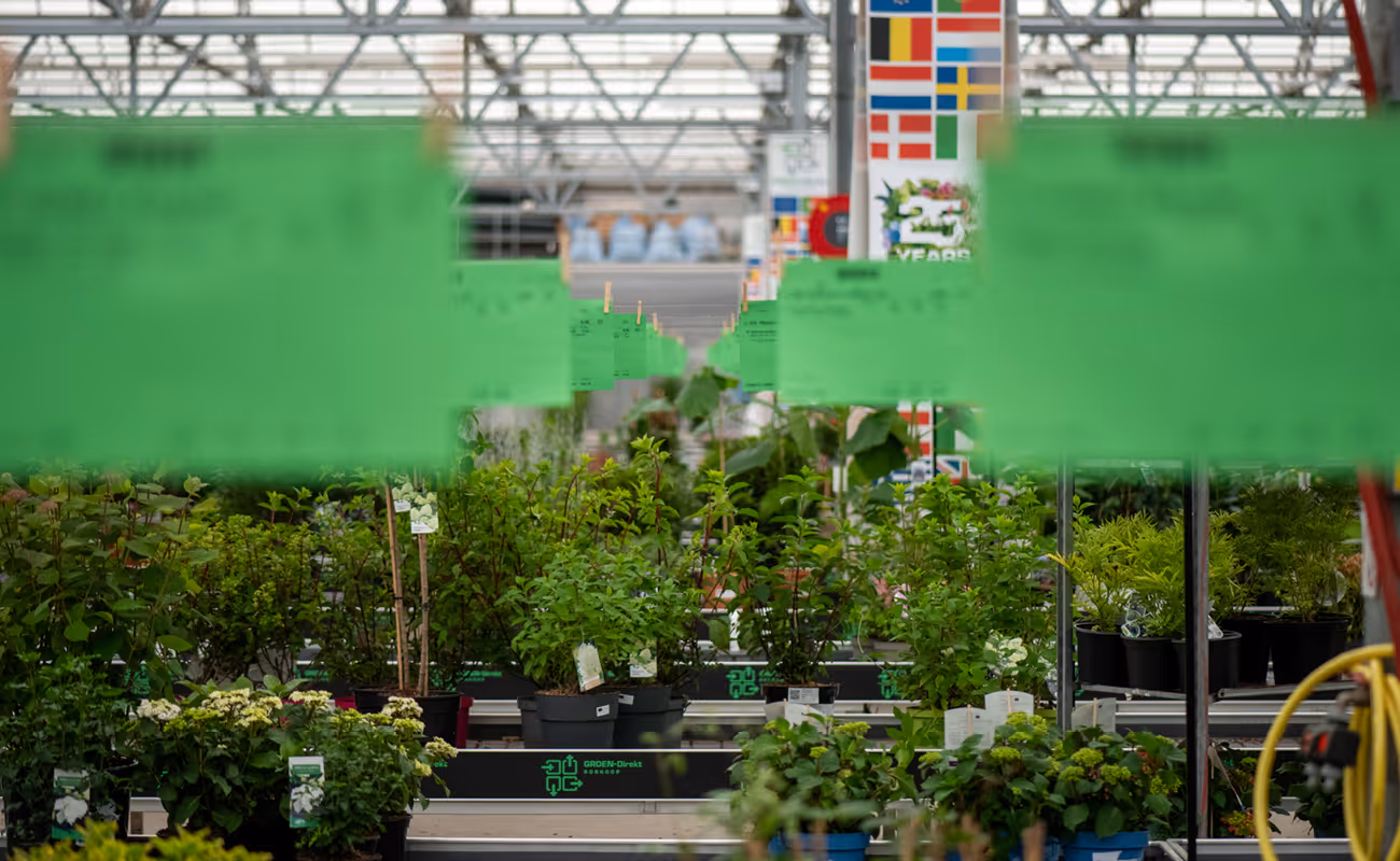 Indoor greenhouse aisle with rows of green leafy potted plants and blurred green signage hanging above.