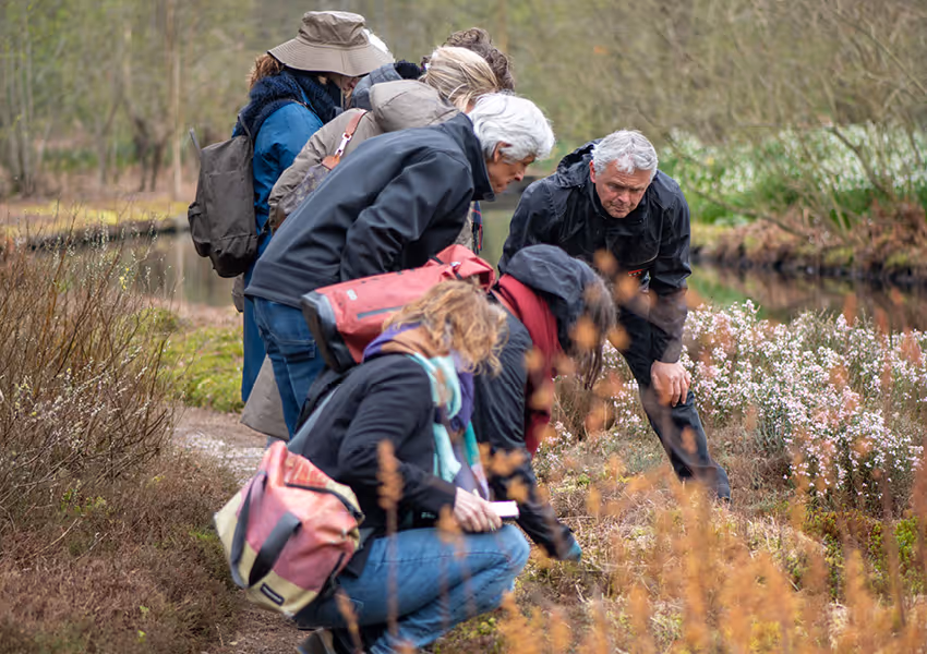 Group of adults outdoors closely examining plants near a small body of water in a natural setting.