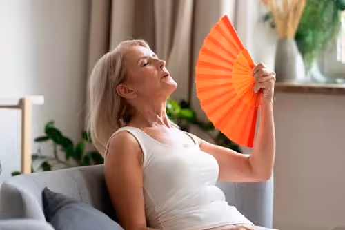 Alimentação à base de soja e menopausa