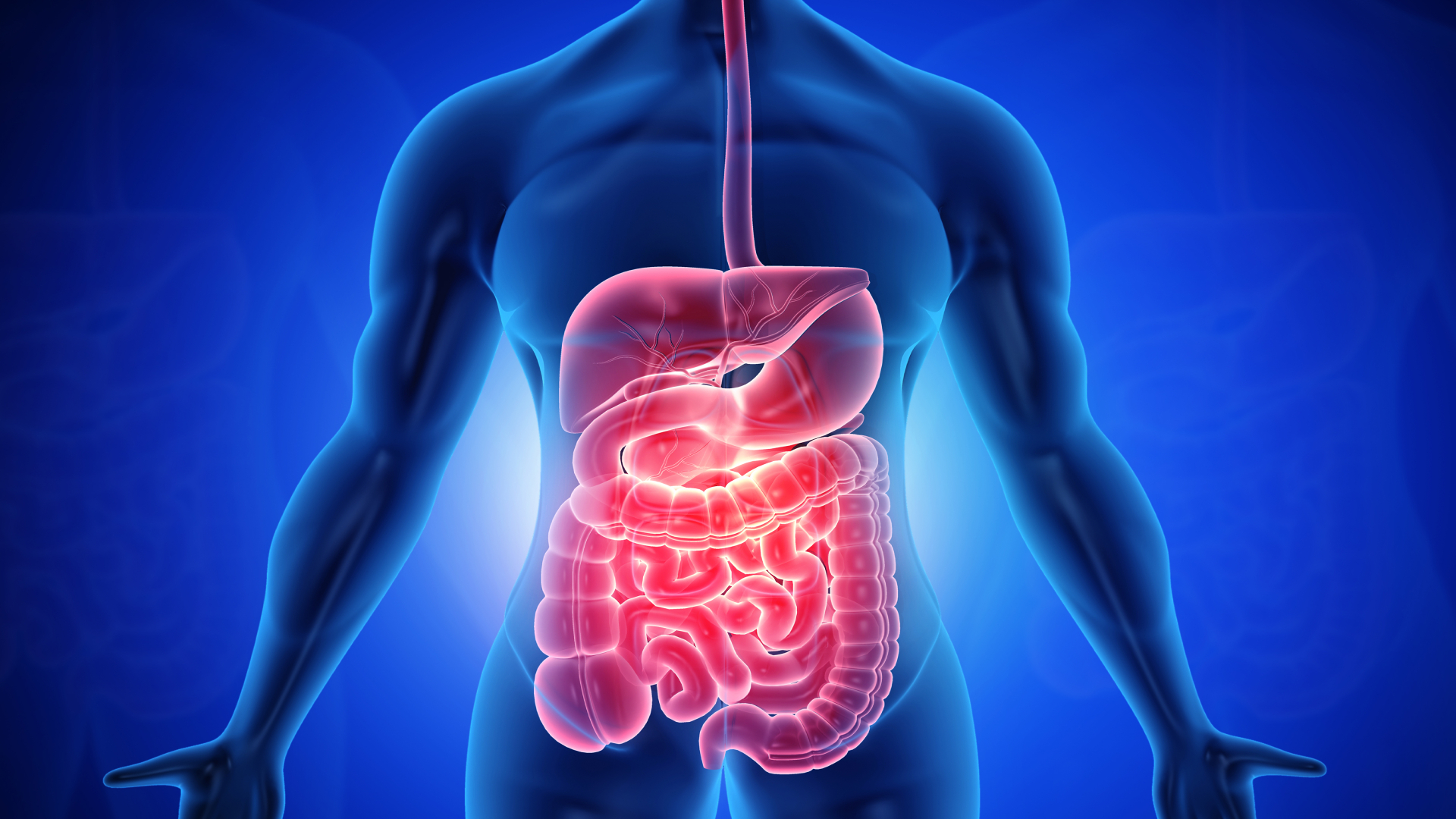 Gastroenterologia: residência médica, salário, rotina e mais