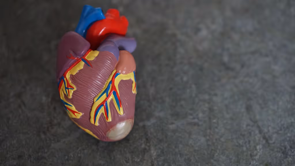 tipos de residência medica cardiologia