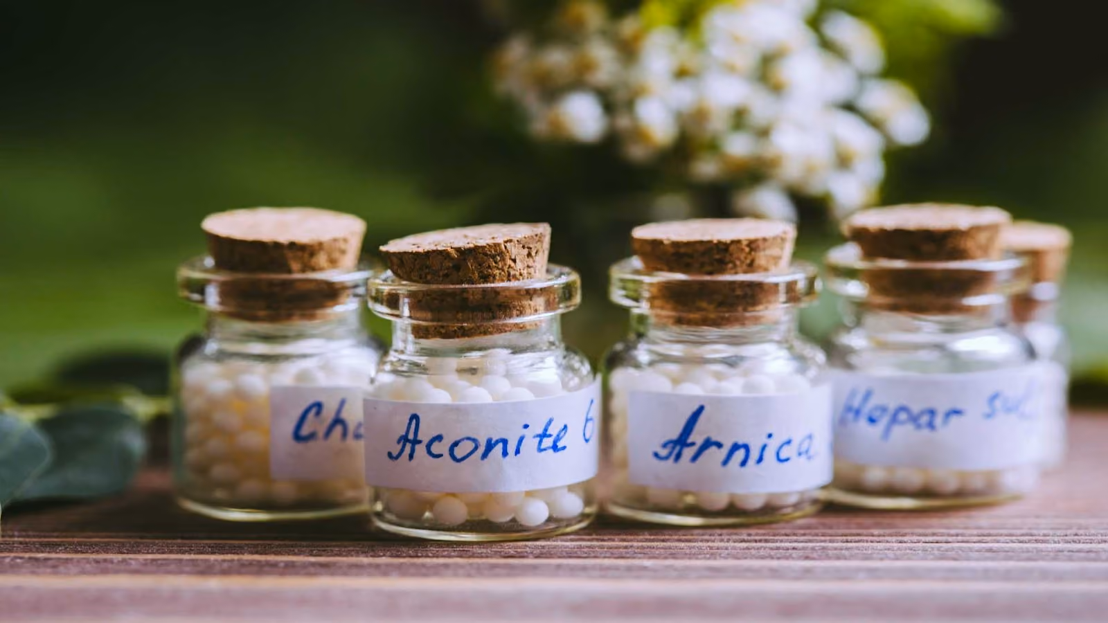 A residência médica em Homeopatia é de acesso direto. Foto: Reprodução/Shutterstock