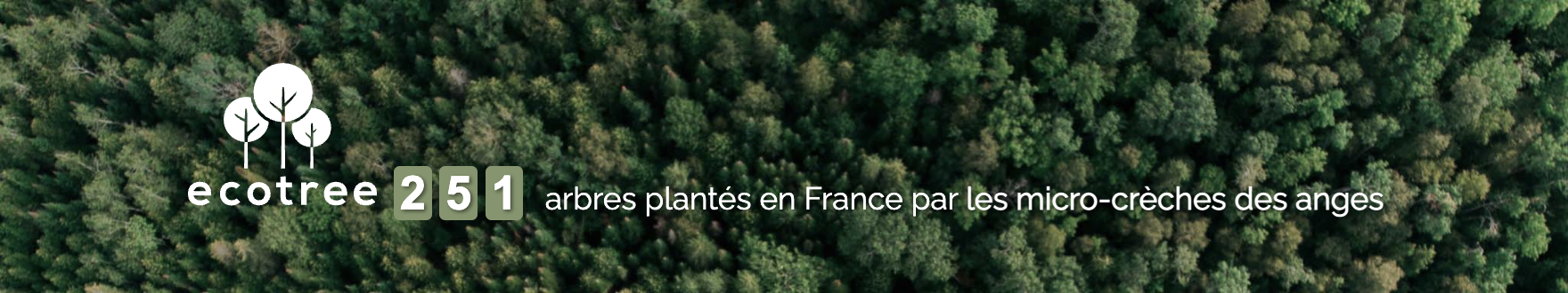 Nombre d'arbres plantés par les micro-crèche des anges