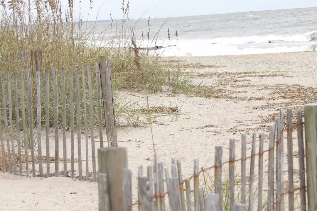 Edisto Beach to Savannah
