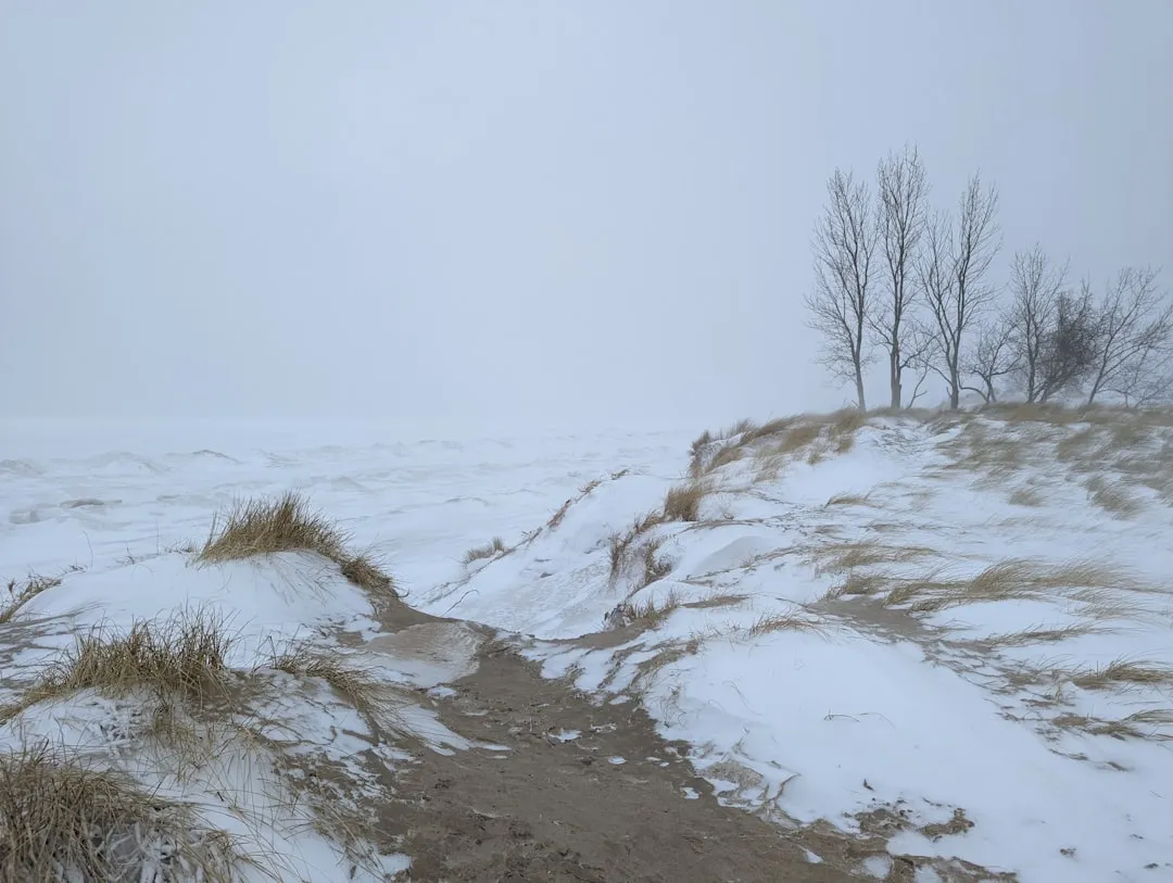 Saugatuck to South Haven