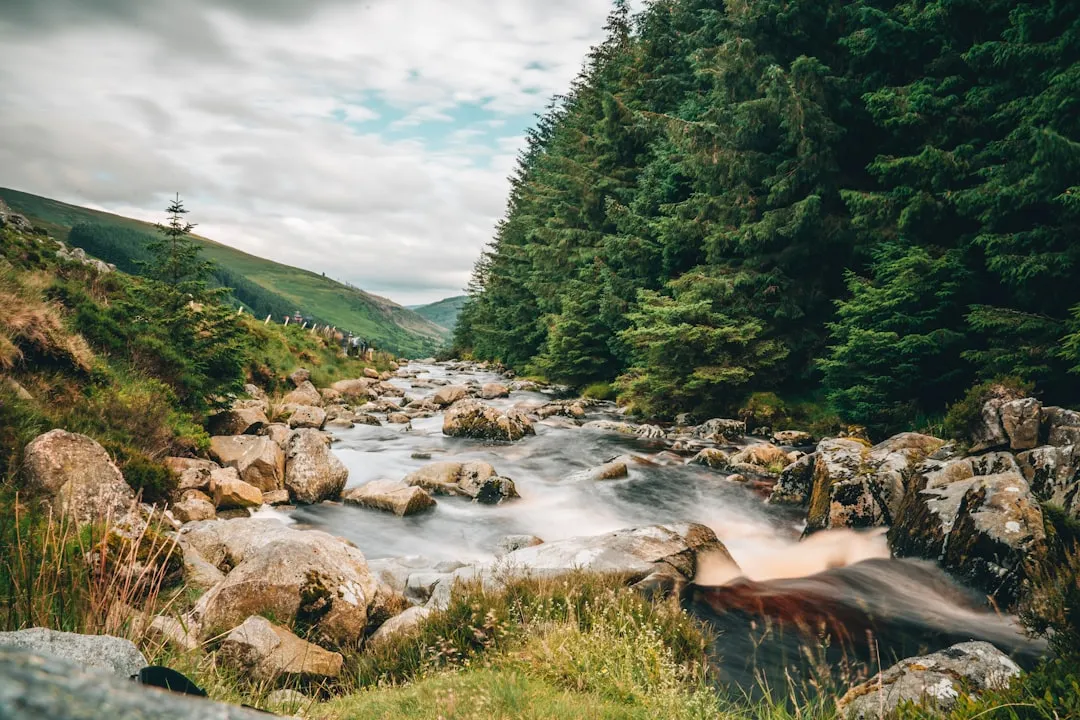 Wicklow to Greystones
