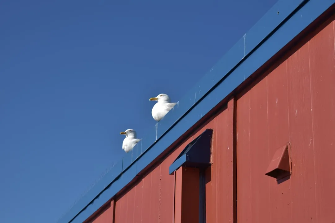 Grand Marais to Silver Bay