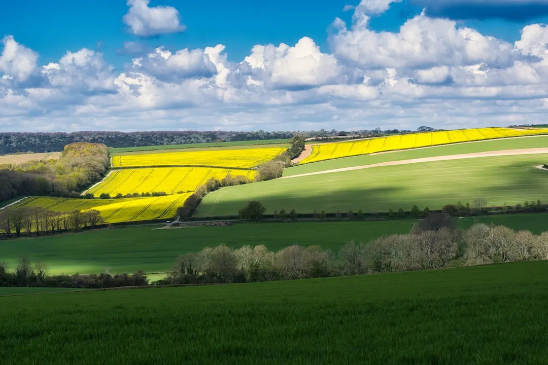 Chichester to Newhaven