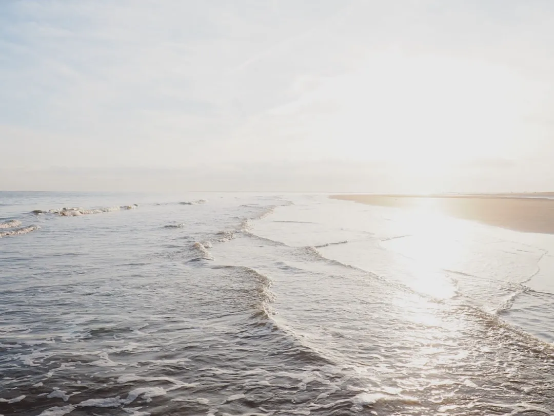 Seabrook Island to Savannah