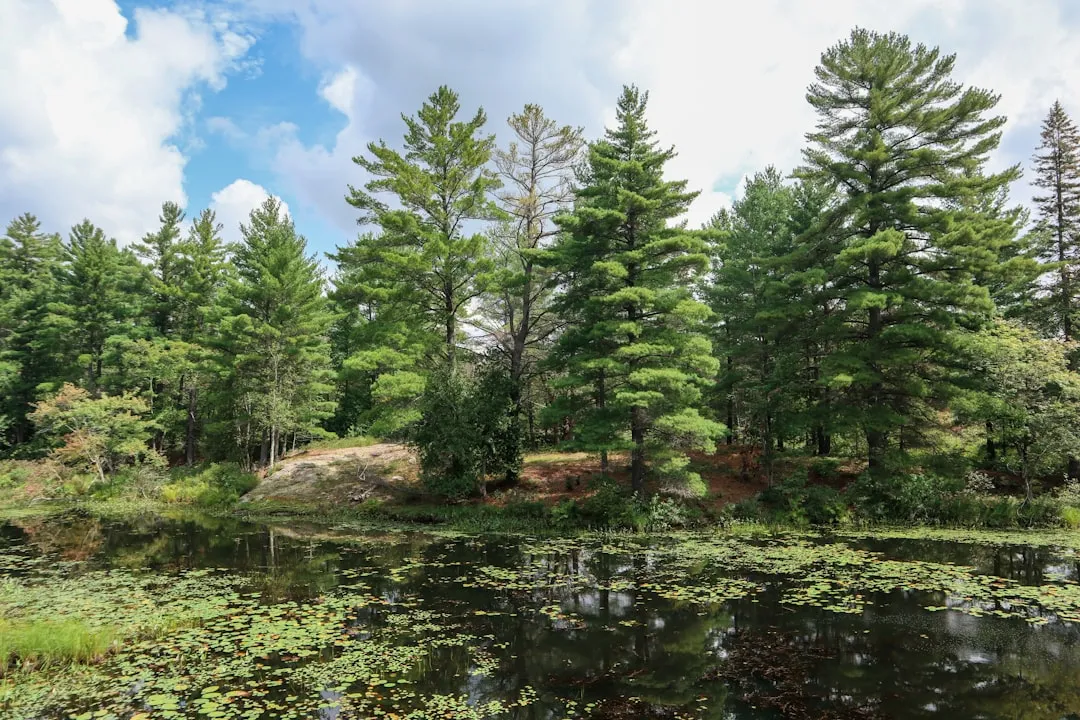 Kawartha Lakes to Barrie