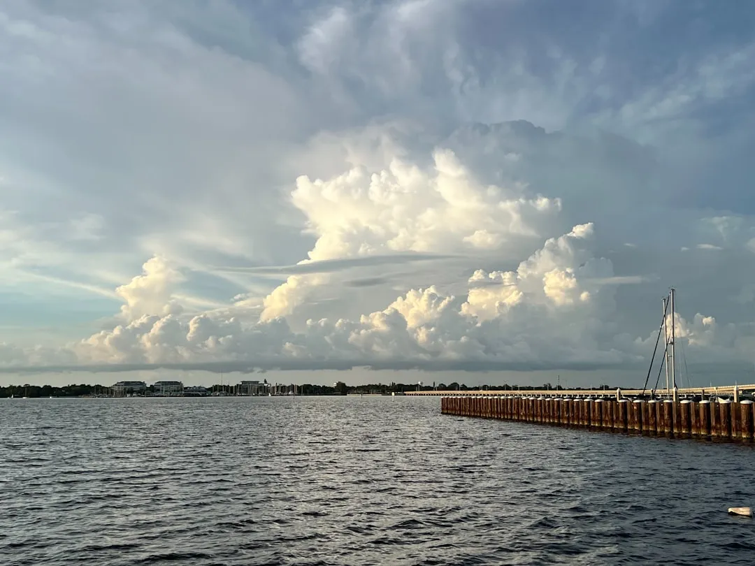 Palmetto to Bradenton