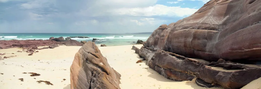 Eden to Narooma