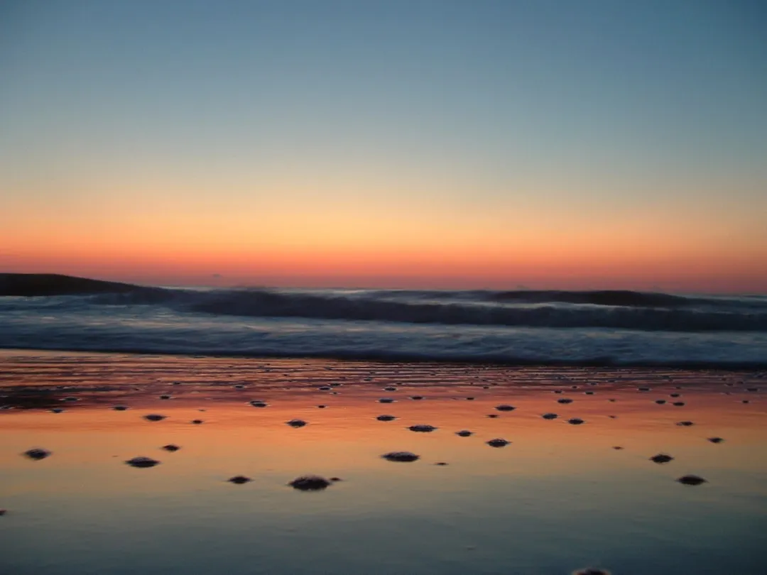 Richmond Hill to Tybee Island