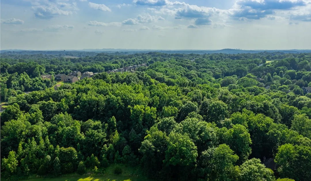 Gallatin to Mt. Juliet