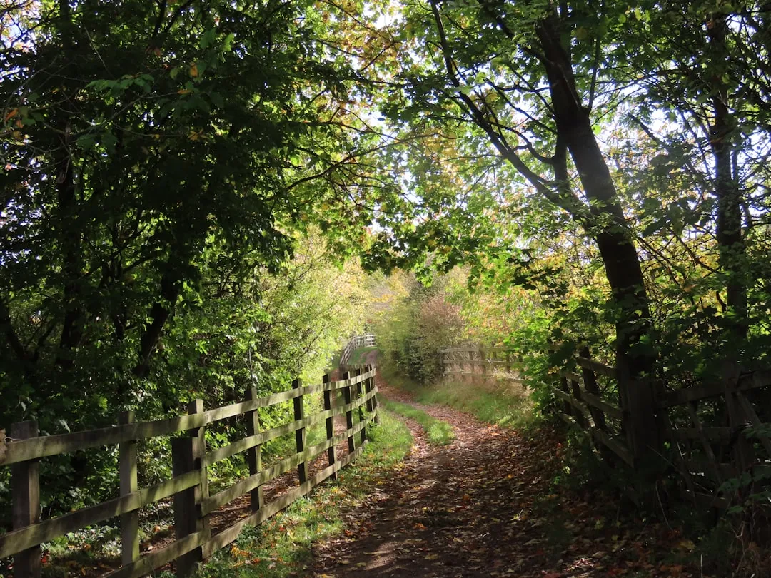 Gillingham to Ramsgate