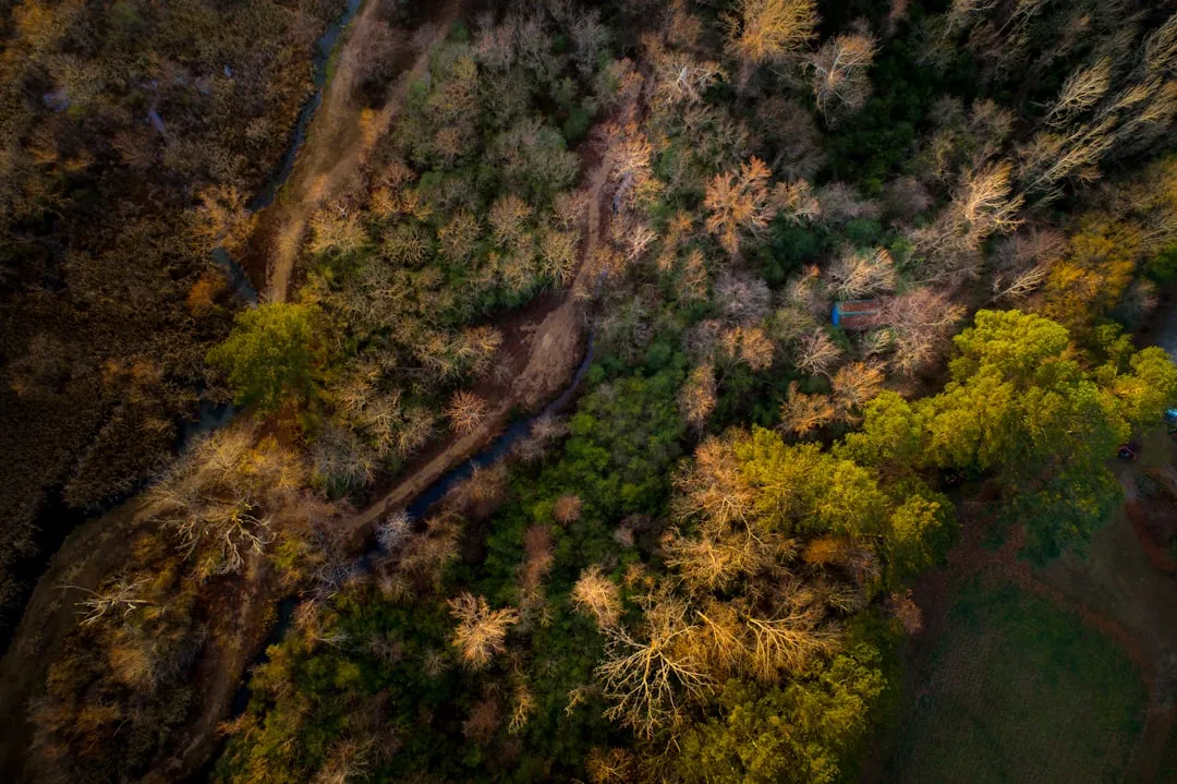 Guntersville to Scottsboro