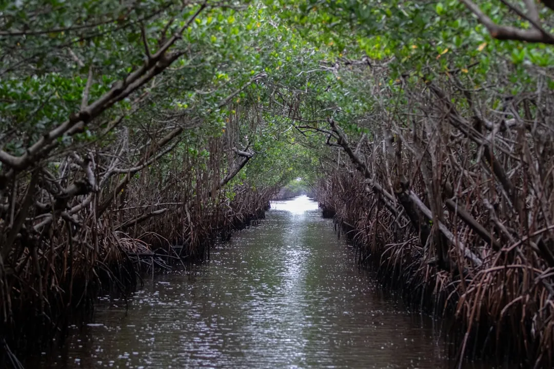 Everglades City to Fort Myers
