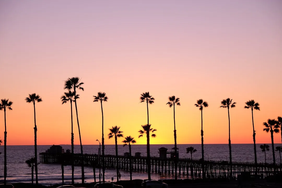 San Pedro to Oceanside