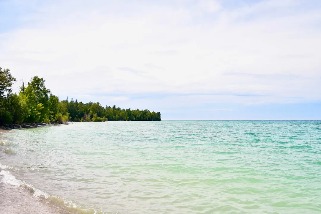 Charlevoix to Leland