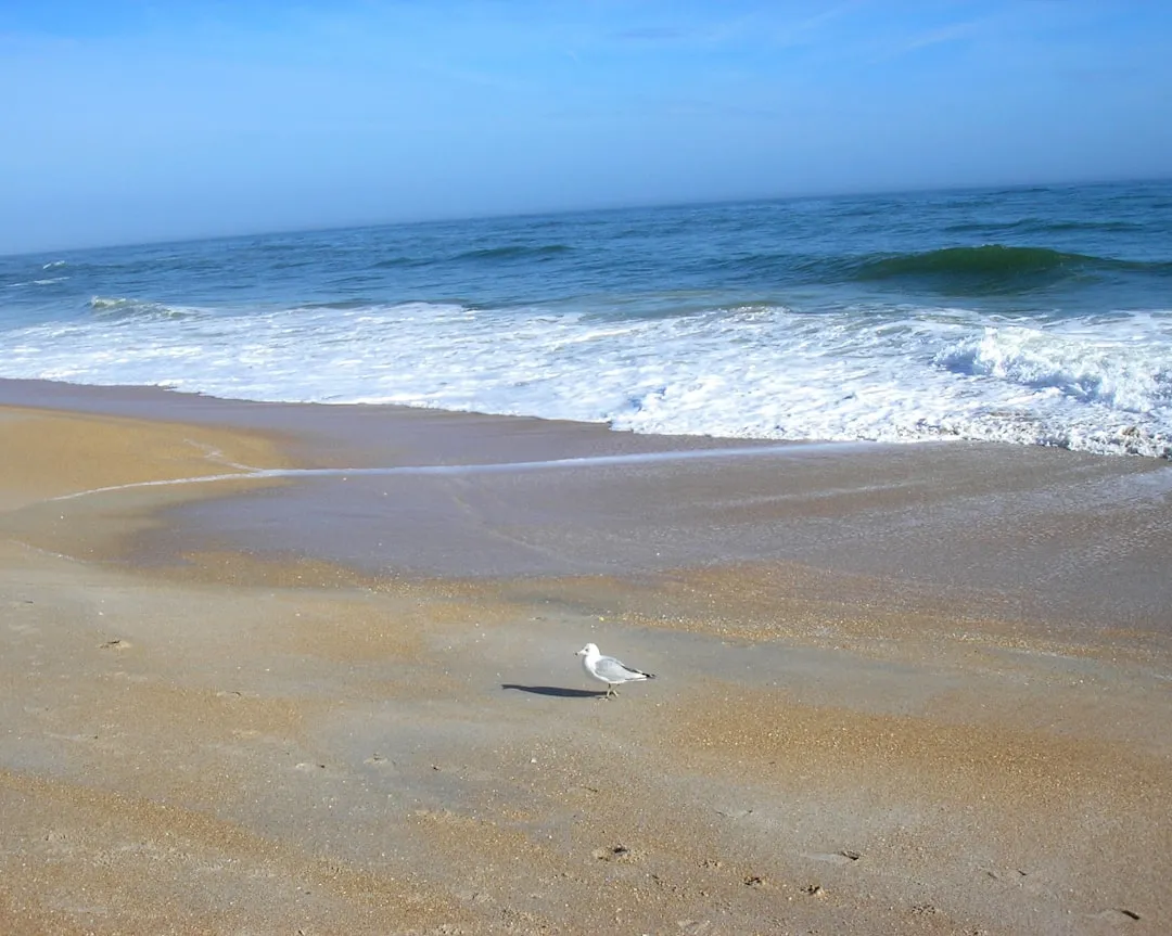 Vilano Beach to St. Augustine