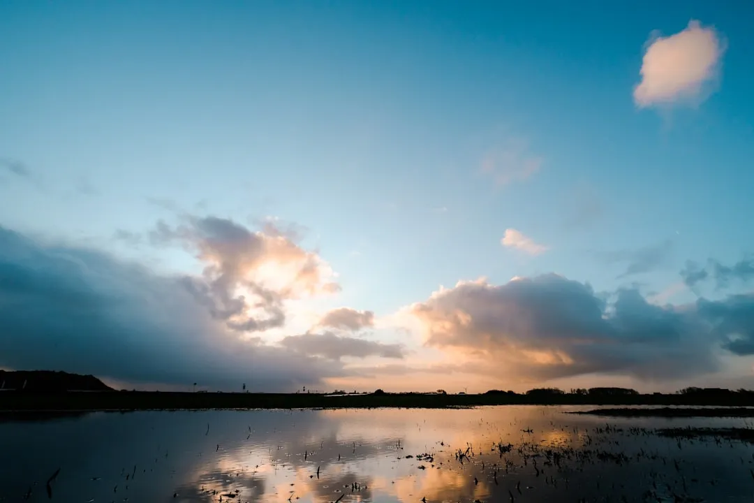 Harlingen to Terschelling