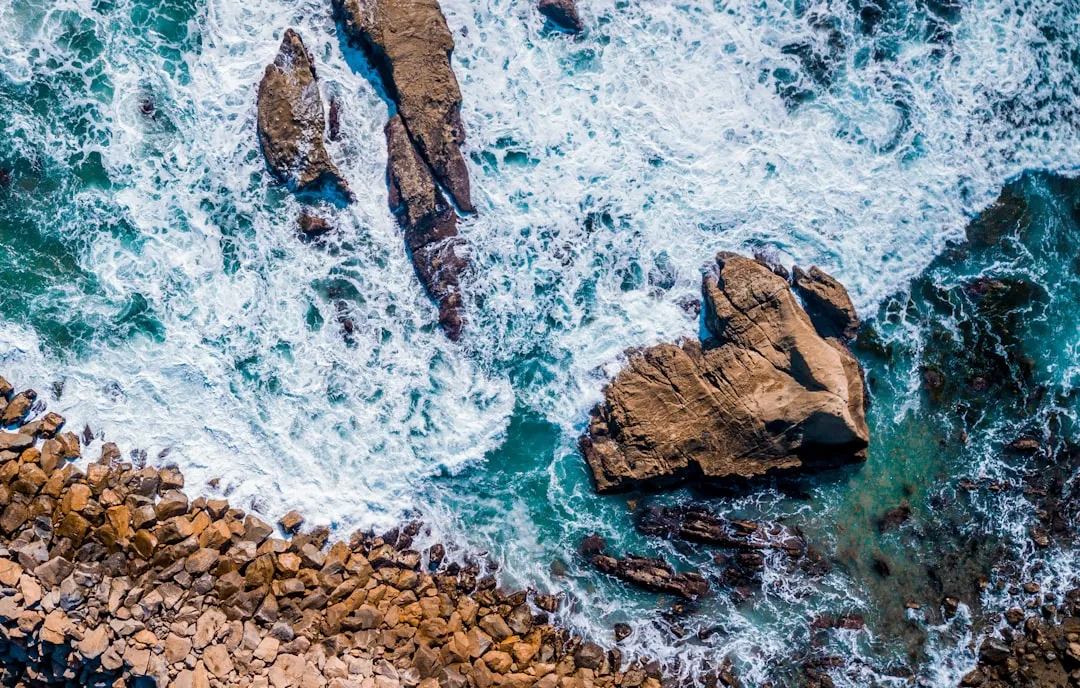 San Pedro to Dana Point