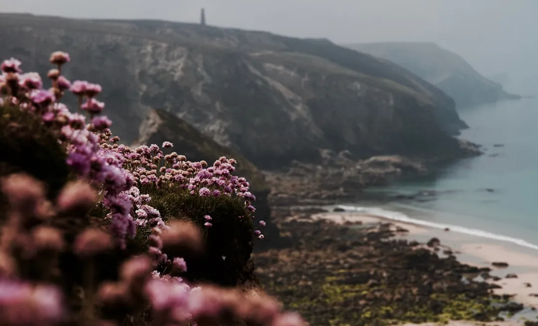 Cornwall to Torquay
