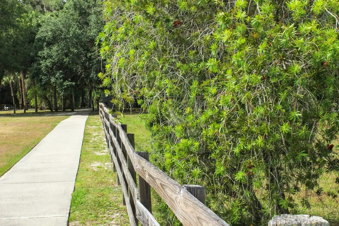 DeBary to Deland