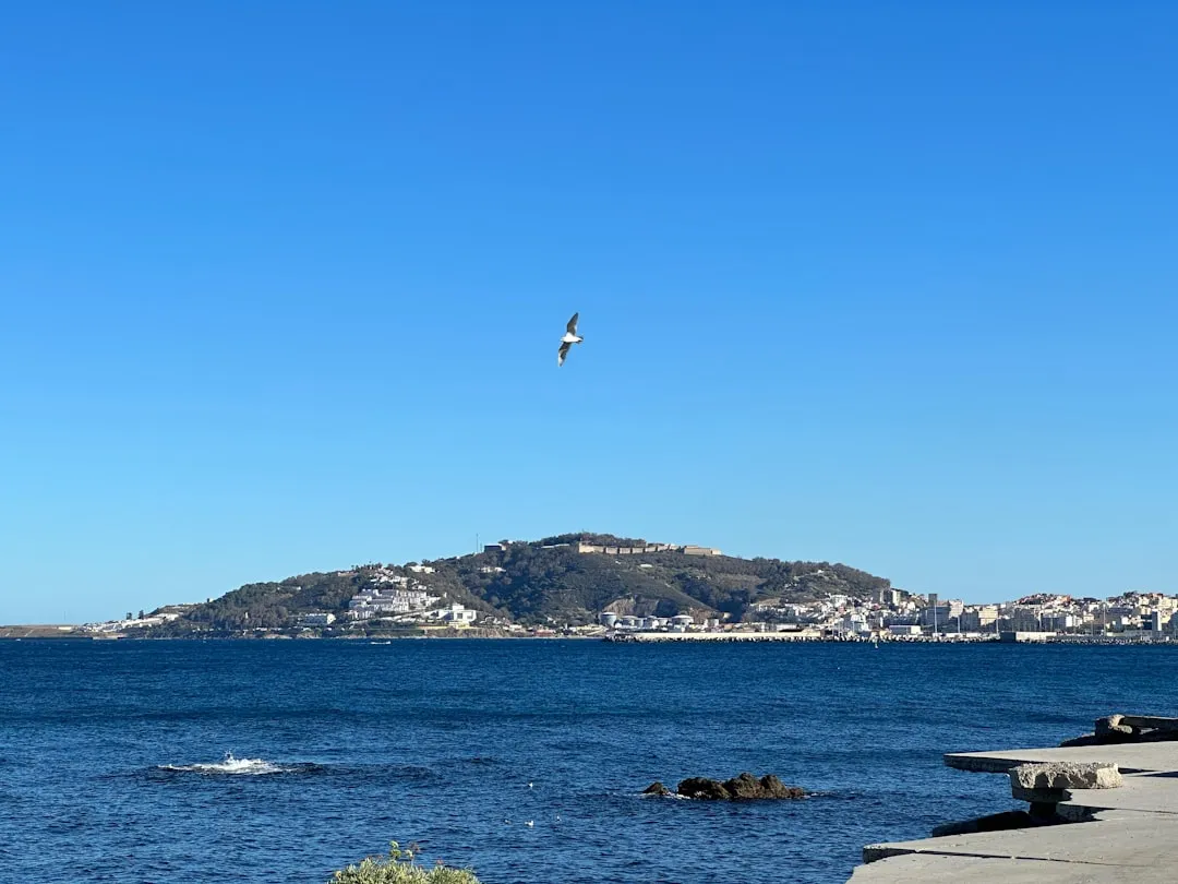 Ceuta to Malaga