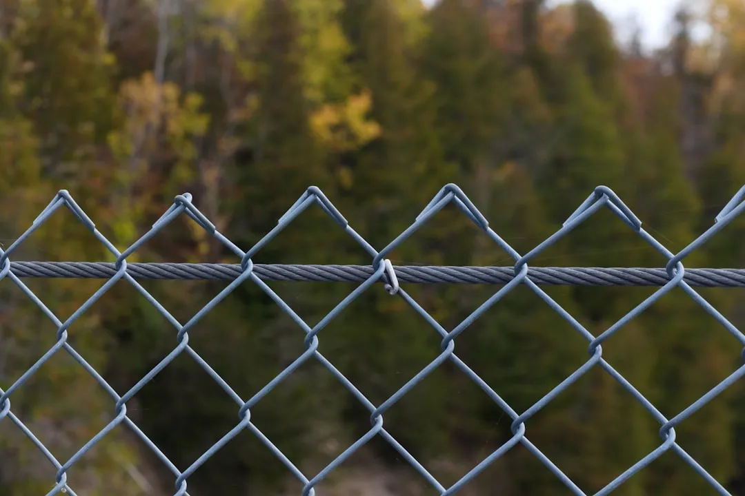 Brighton to Campbellford