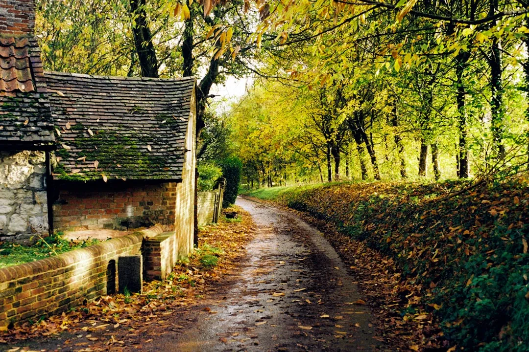 Hampshire to Wareham