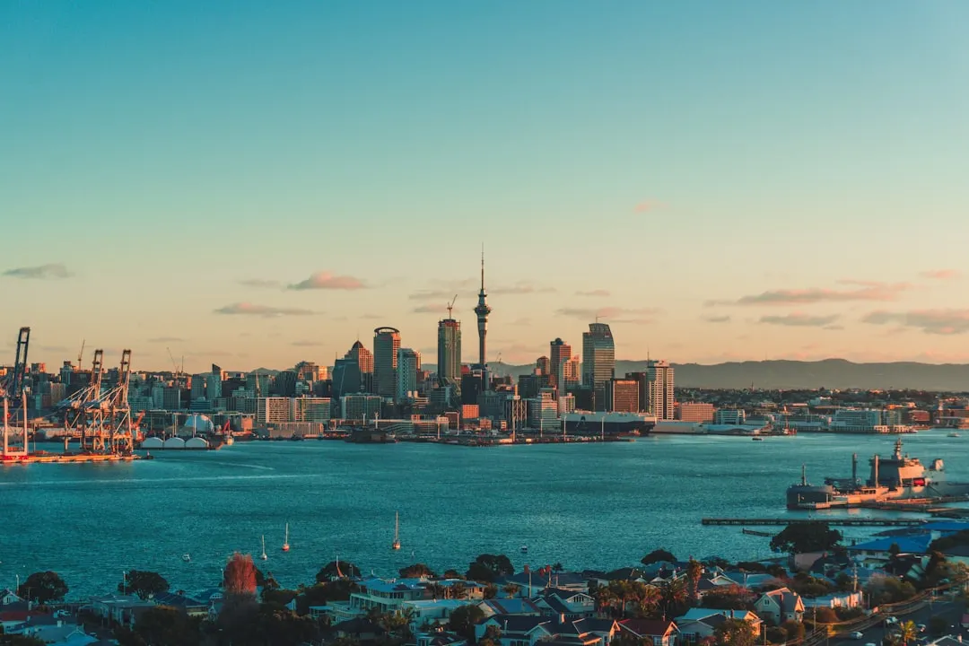 Auckland to Tairua