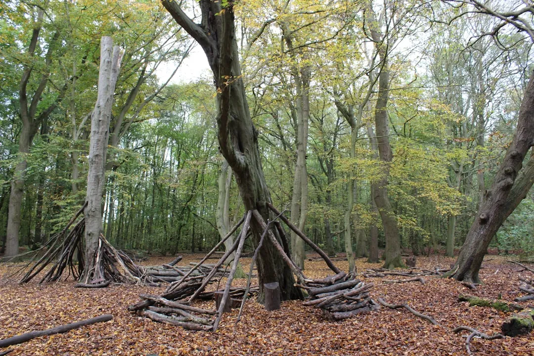 Huntingdon to St. Ives