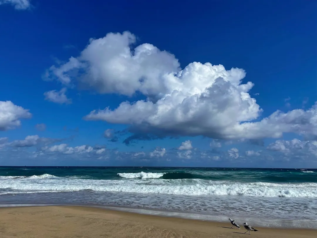 Delray Beach to North Miami Beach