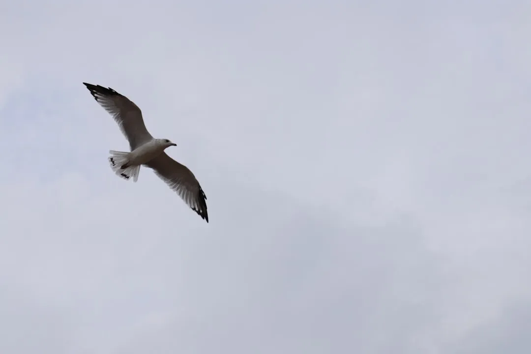 Grand Bend to Bayfield