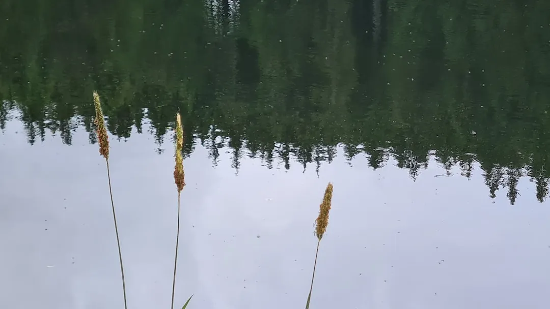 Little Current to Providence Bay