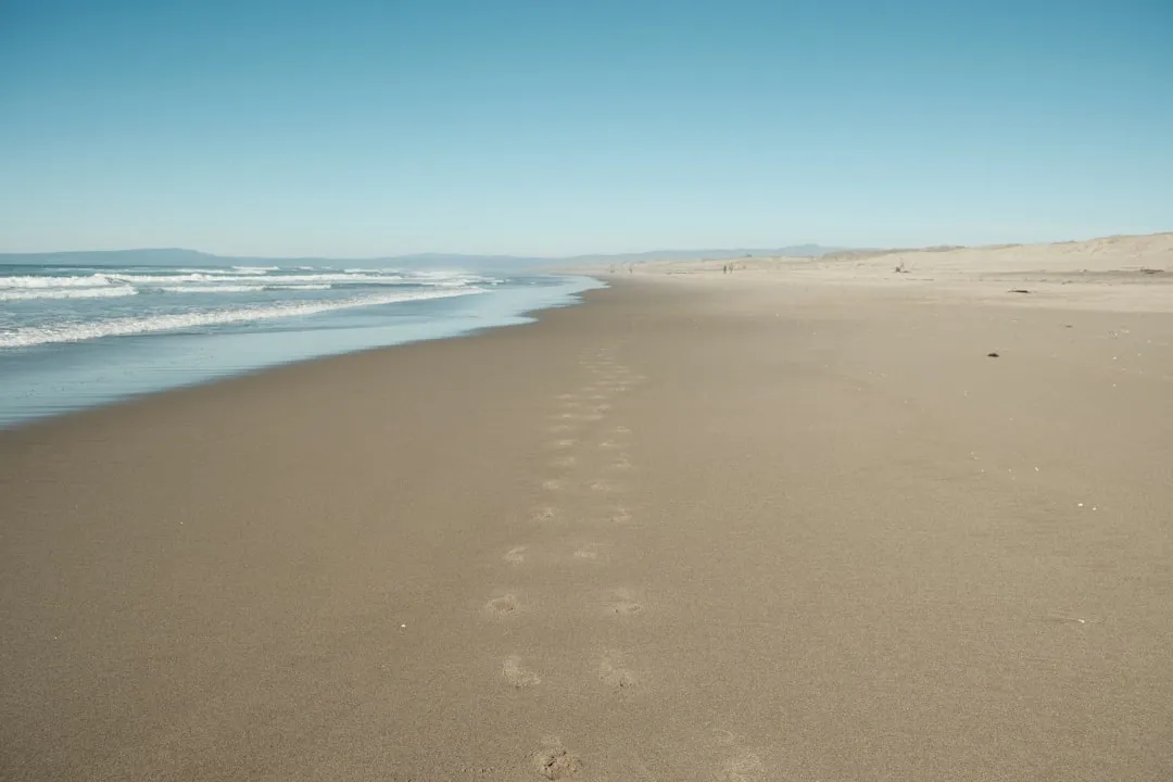 Moss Landing to Santa Cruz