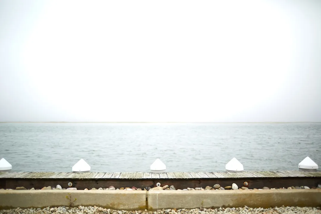 Stone Harbor to Bear