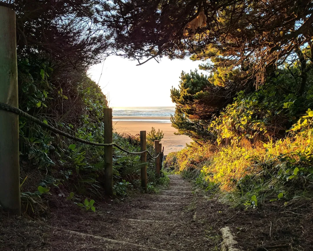 Waldport to Florence