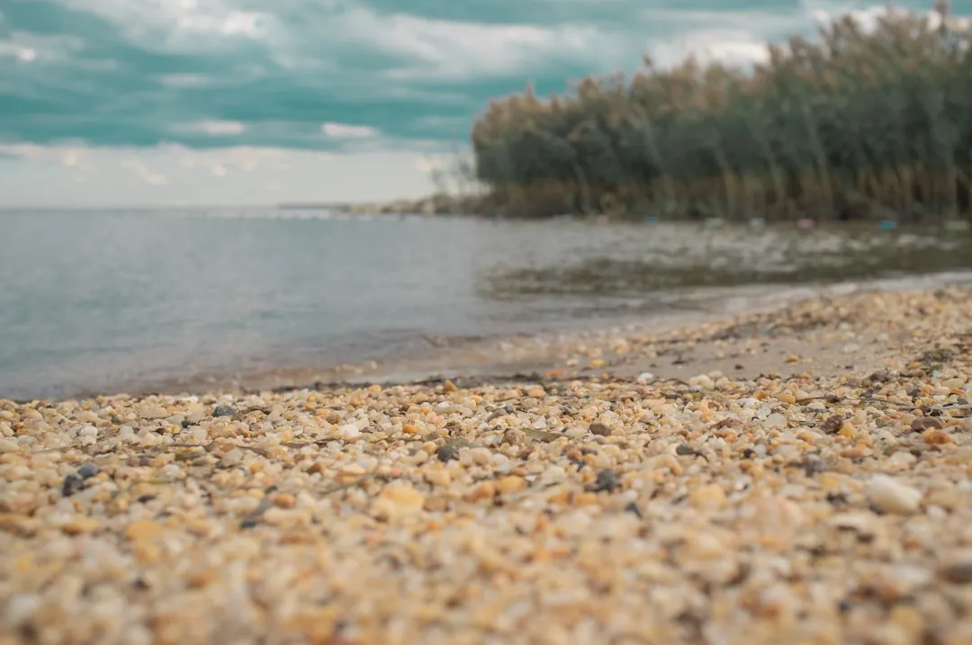 Bowleys Quarters to Delaware City