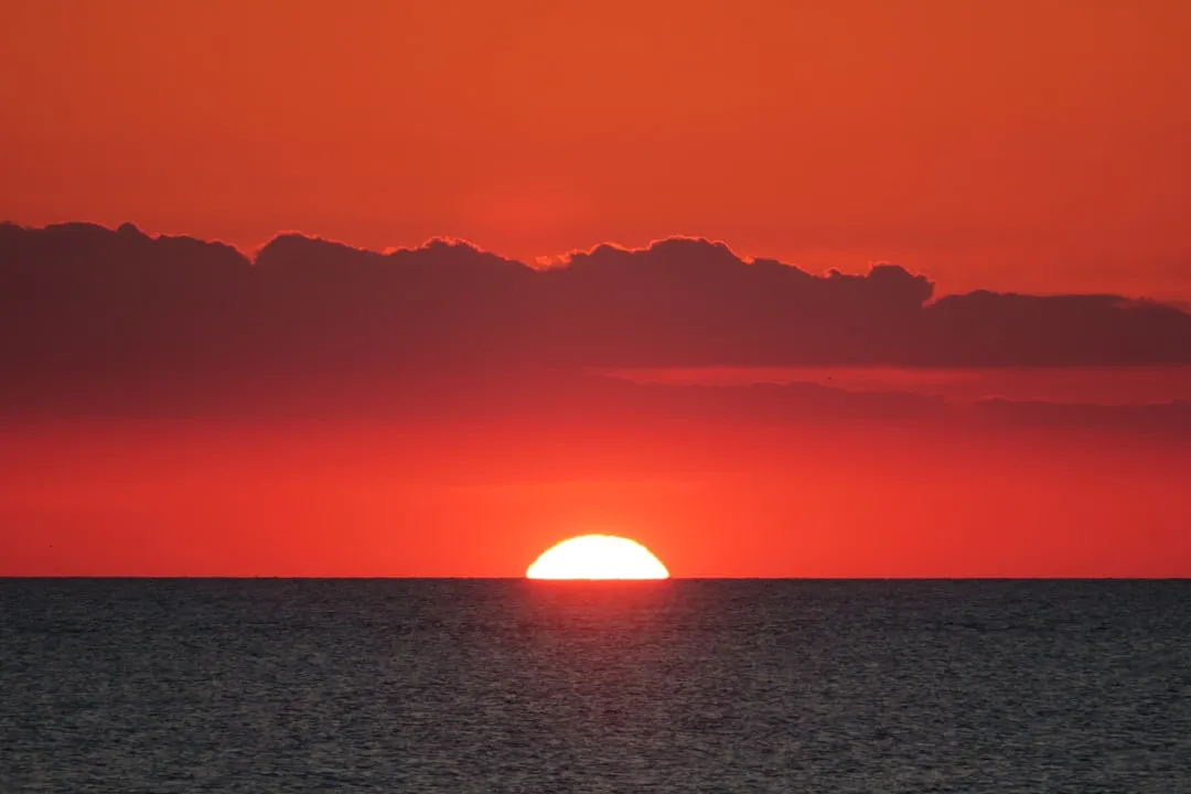 Lower Township to Bear