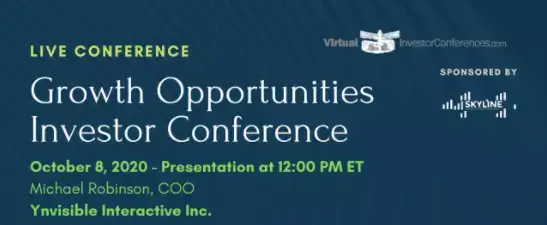 Virtual Investor Conference