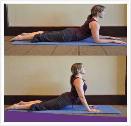 ebook6backstretches image5