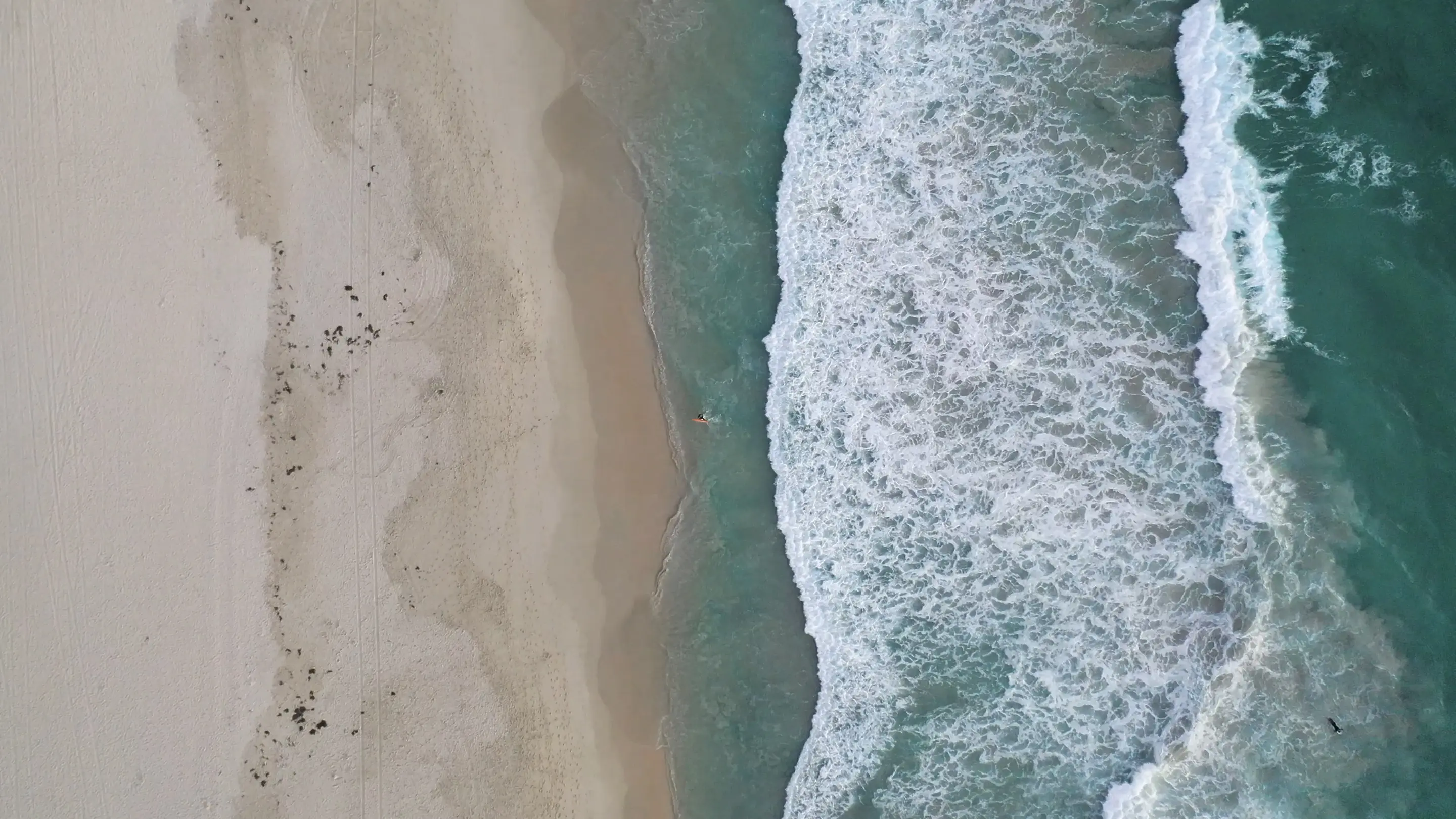 nsw
