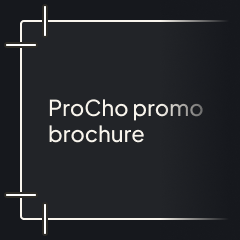 DL promo brochure - PC