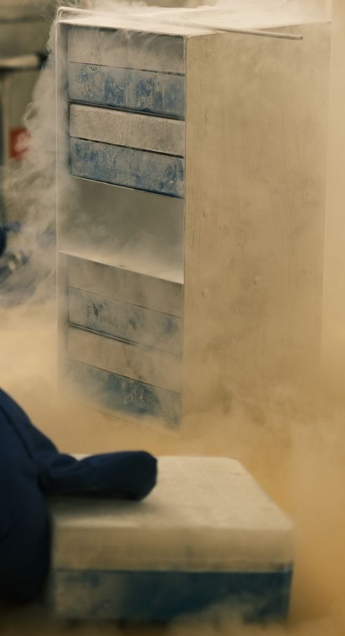 Stem Cell Reprogramming